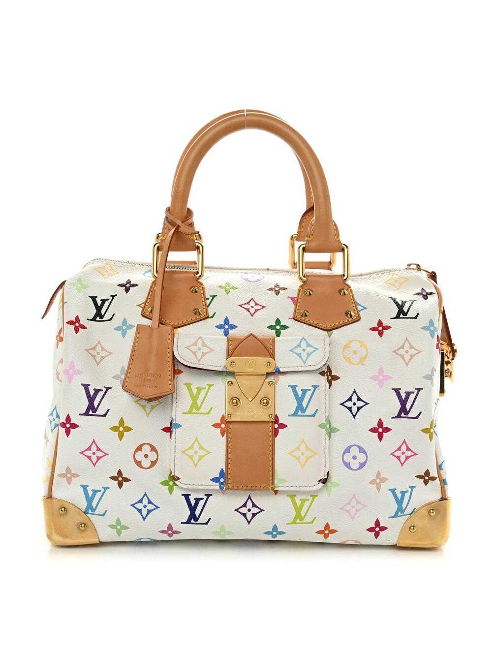 Louis Vuitton Multicolor Speedy 30 #341556L19B